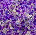 Whimsical Moon Garden