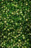 Green/yellow Crackle (10mm)