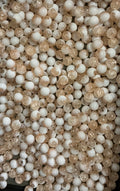 Champagne/white (10mm)