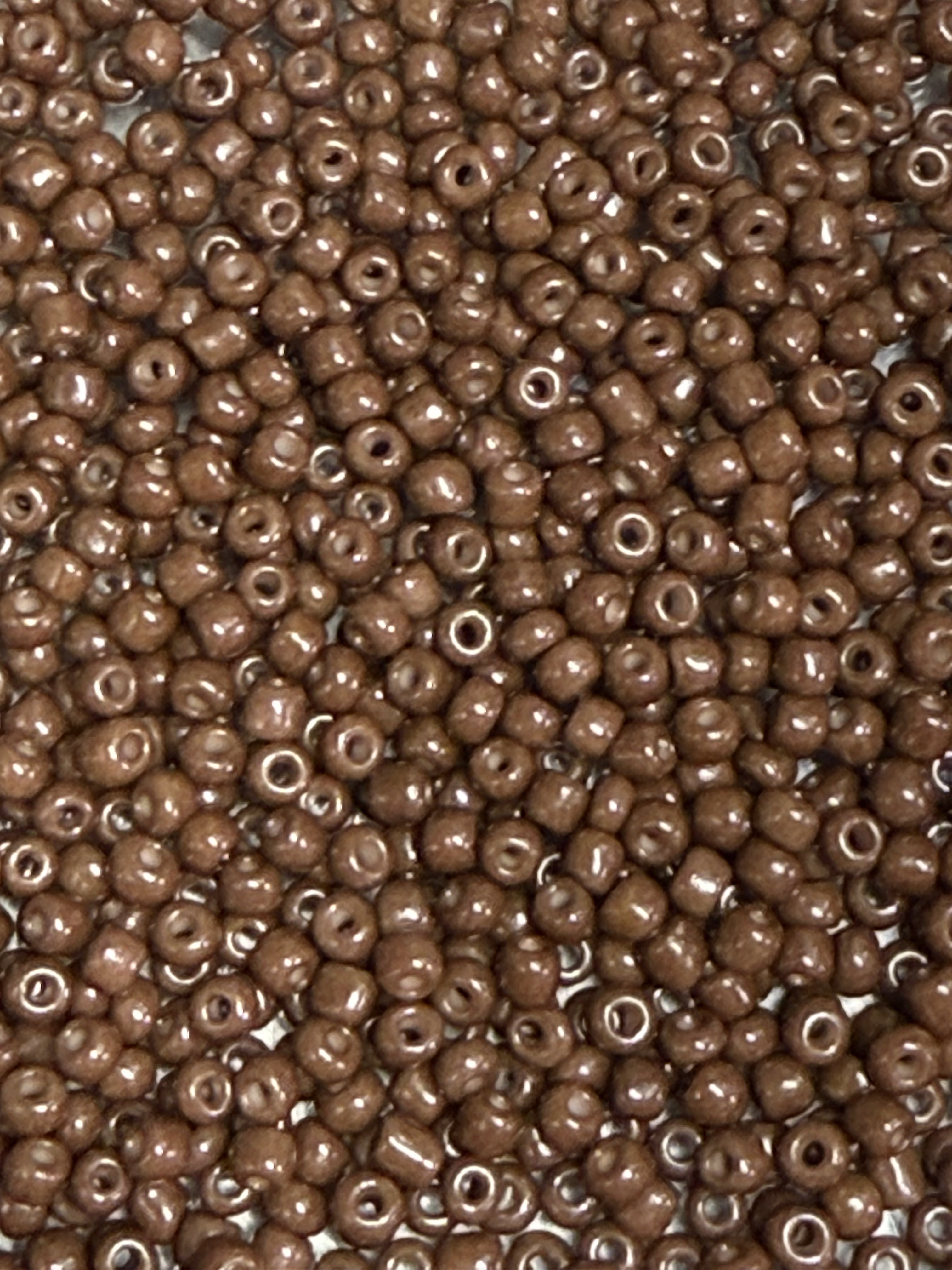 Chocolate brown (8/0)